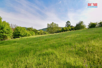 Prodej chalupy ve Starém Šachově s pozemky 8960 m2 - 18