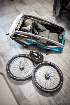 Qeridoo Kidgoo 1 - 18