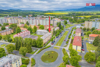 Pronájem bytu 2+1, 54 m², Ostrov, ul. Hlavní třída - 18