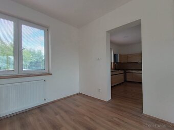 Pronájem Rodinného domu - 18