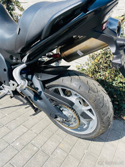 Triumph Tiger 1050 r.v.2008 - 18