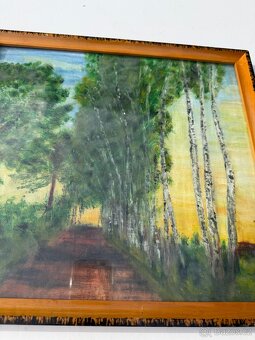 Obrazy a fotografie - 18