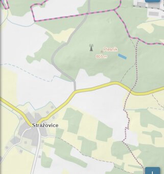 Lesní pozemek Strážovice u Pačejova - 18