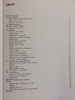 Kniha STO LET JUBILEJNÍ zemské výstavy Augusta a Hozák - 18