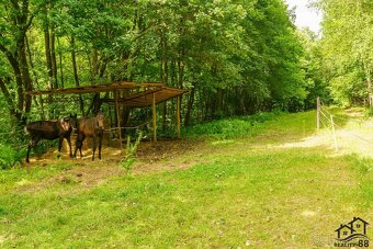 Prodej rodinný dům 3+1, 127 m2 - Petrovice u Karviné - 18