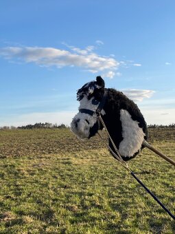 Hobby horse - 18