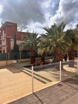 Byt - Orihuela - 18