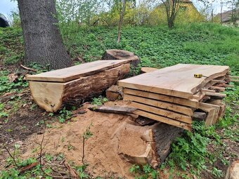 Pořez kulatiny přenosným katrem v místě kácení - 18