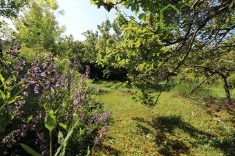 Prodej chaty v žádané lokalitě Prahy 5- Hlubočepích. - 18