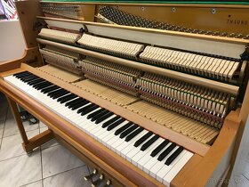 Německé pianino Ritmüller model 120S po prvním majiteli - 18