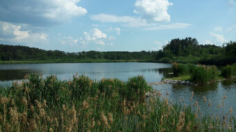 MÁCHOVO JEZERO-SEZÓNNÍ PRONÁJEM CHATY (3+1) - 18