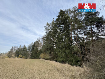 Prodej chalupy, 3642 m², Trhový Štěpánov, obec Dálkovice - 18