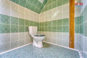 Prodej rodinného domu, 350 m², Újezd u Svatého Kříže - 18