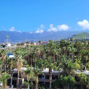 TENERIFE: 2kk s výhledem v Puerto de la Cruz - 18