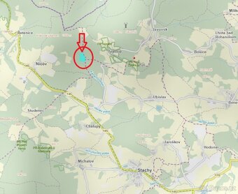 Prodám lesní pozemky v k.ú. Nicov - 18