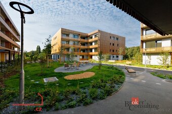 Pronájem, byty/1+kk, 35 m2, Kartónová, Východní Předměstí, 3 - 18