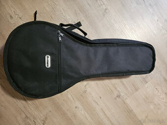 Celomasivní mandolína FURCH Ma-2 typ A - 18