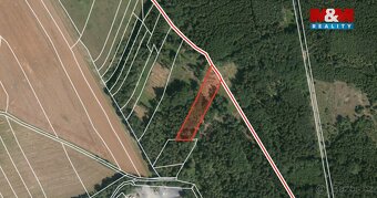 Prodej lesa, 39171 m², Ježovy - 18