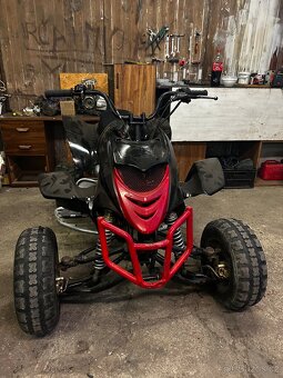 650 Campell Bashan 250 - 18