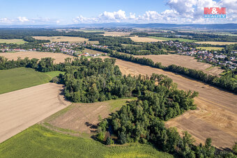Prodej lesa, 2252 m², Horka nad Moravou - 18