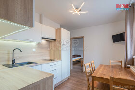 Prodej apartmánového domu, Staré Město, okr. Bruntál - 18