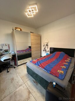 Prodej rodinného domu 235 m², pozemek 192 m² Antonínská, Dol - 18