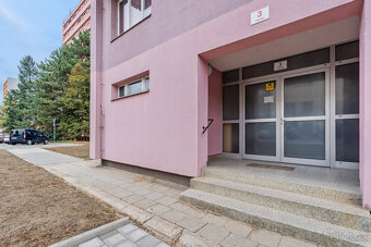 Prodej bytu 3+1, 58 m², Brno – Štýřice, ul. Pšeník (bez RK) - 18