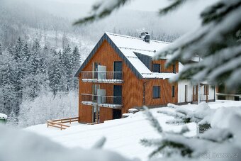 Prodej bytu 2+kk, 63 m2, Dolní Morava - 18