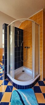 Prodej rodinného domu 361 m2, pozemek 979 m2 - 18