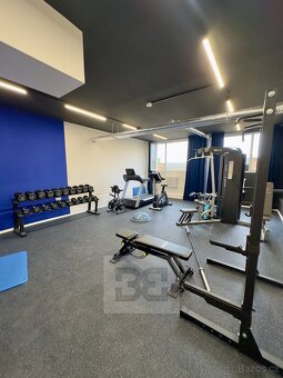 Pronájem bytu 2+kk 48 m² - posilovna, party room, parkování  - 18