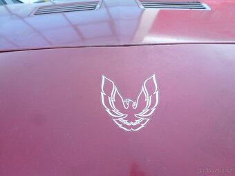 PONTIAC FIREBIRD - 18