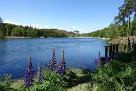 Pronájem chaty Moravské Budějovice Jackov Kosová Hrachovec - 18