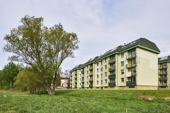 Prodej bytu 3+1 s balkónem po rekonstrukci v Radvanicích - 18