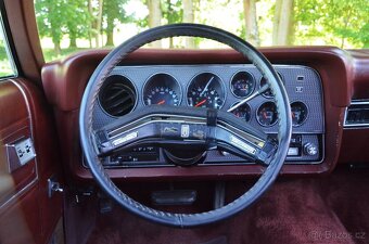 Ford Ranchero z roku 1979 - 18