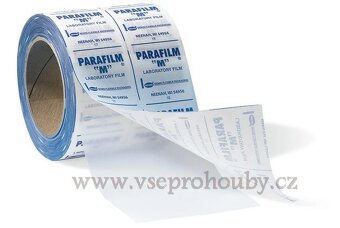 Sadba - Hlíva ústřičná, plicní, modrá, růžová, královská - 18