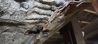 Škoda Octavie 1.8 110kw projekt - 18