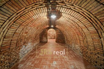 Prodej vinného sklepu s ubytováním, Milotice (Šidleny) - 18