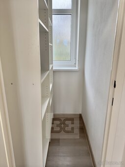 Pronájem bytu 3+1 120 m² se zahradou 300 m², Praha - Hluboče - 18