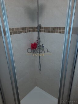 Pronájem rodinného domu v Moravanech u Kyjova - 18