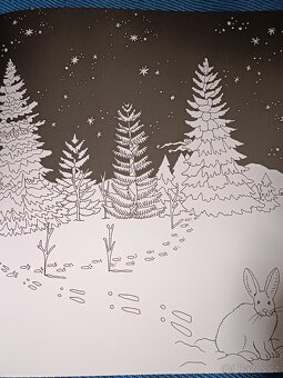 Omalovánky pro dospělé Exotický prales - 18