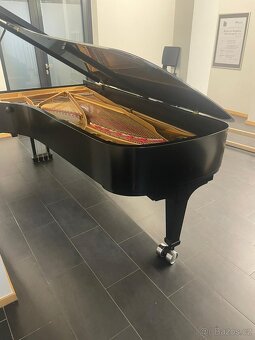Steinway & Sons Modell D- 274 cm Only now super price - 18