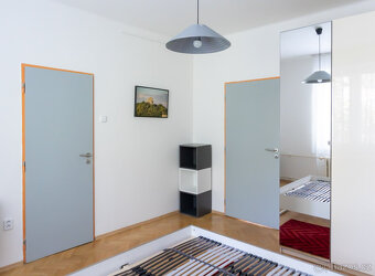 Pronájem bytu 2+1, Pod Lipami, Žižkov, 21300 Kč/měs, 53 m2 - 18