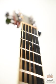 Larivée D-09 Hawaiian Koa - 18