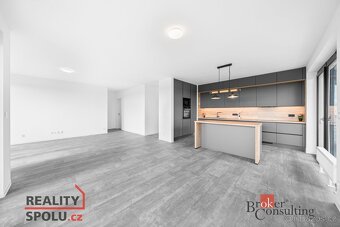 Pronájem, byty/4+kk, 118.49 m2, U Borského parku, Jižní Před - 18