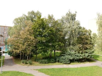 Byt 1+1 Ostrava-Poruba, ul. Jana Ziky - 18