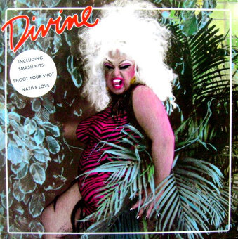 Prodám svou sbírku gramofonových desek - 139 - 18