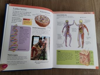Velká dětská všeobecná encyklopedie a encyklopedie PSI - 18
