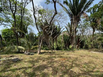 Lot 1 Bodden Bight Estate, Roatan - 18
