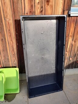 2 morčecí mladí samci nekastrovaní - jen spolu - 18