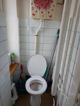 pronájem bytu 2+1 v Ostrově u Karlových Varů - 18